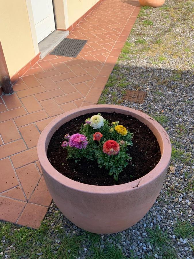 Appartamenti Vacanze Il Nottolini Capannori Bagian luar foto